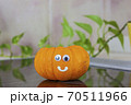 カボチャと仲間たち15 70511966