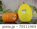 カボチャと仲間たち17 70511969
