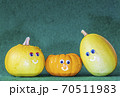 カボチャと仲間たち23 70511983