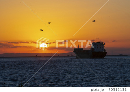 大阪府大阪市住吉区のシーサイドコスモの夕景 70512131