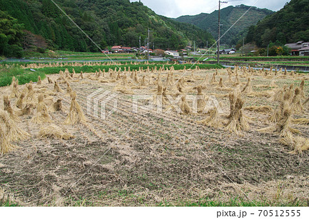 農村風景秋 田んぼと稲藁 農村風景秋 田んぼと稲藁 70512555