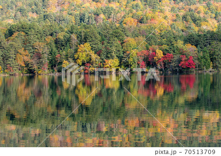 北海道の秋の風景　オンネトーの紅葉 70513709