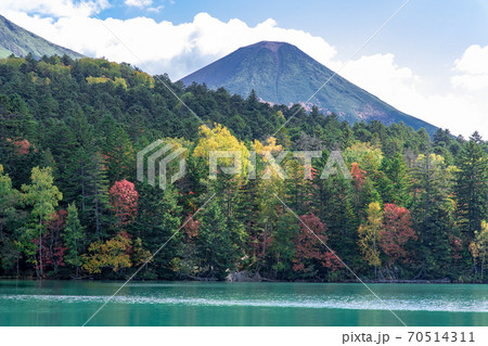 北海道の秋の風景 オンネトーの紅葉 北海道の秋の風景 オンネトーの紅葉 70514311