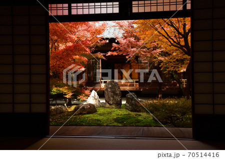 建仁寺の紅葉 建仁寺の紅葉 70514416