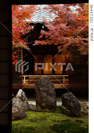 建仁寺の紅葉 建仁寺の紅葉 70514446