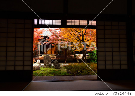 建仁寺の紅葉 70514448