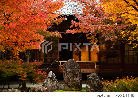 建仁寺の紅葉 70514449