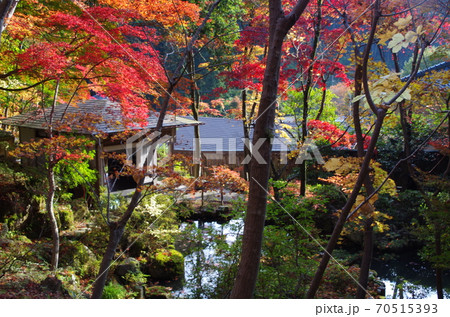 中野邸記念館もみじ園の紅葉の写真素材