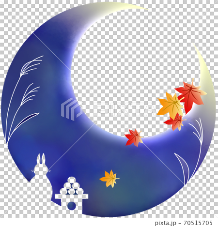 Mid-autumn moon maple Mid-autumn moon maple 70515705