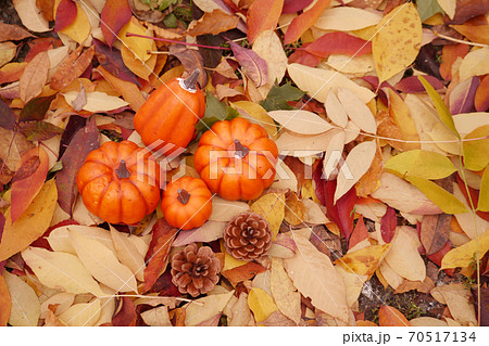 秋の風景 70517134