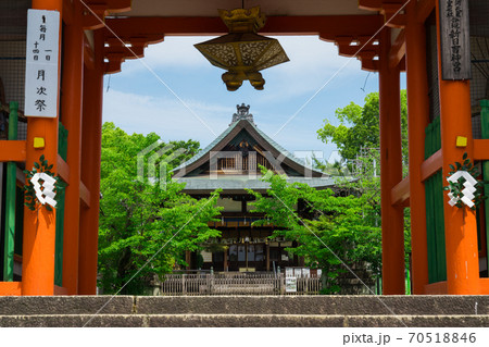 京都 新日吉神宮(いまひえじんぐう)の新緑 京都 新日吉神宮(いまひえじんぐう)の新緑 70518846