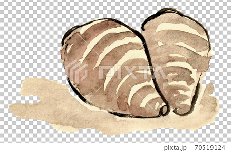 Ebi potato _ hand-painted - Stock Illustration [70519124] - PIXTA