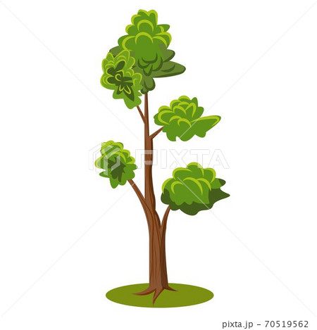 Flat cartoon vector tree. Flat Vector Illustration for nature props 70519562