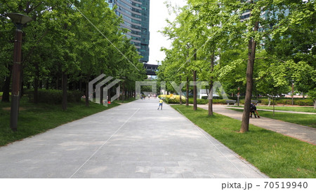 ソウルの森 公園 ヒマワリ 70519940