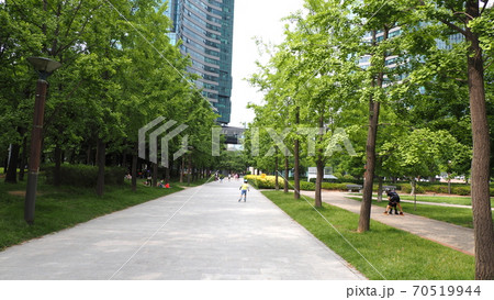 ソウルの森 公園 ヒマワリ 70519944