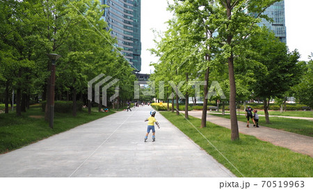 ソウルの森 公園 ヒマワリ 70519963