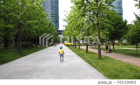 ソウルの森 公園 ヒマワリ 70519965