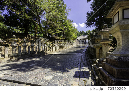東大寺 三月堂への坂道 奈良県奈良市 東大寺 三月堂への坂道 奈良県奈良市 70520299