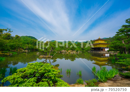 京都　金閣寺　初夏　 70520750