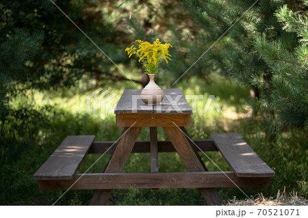 Wooden furniture in garden outdoors. Simple benches and dining table with bouquet of yellow flowers in clay vase on it. Relax concept 70521071
