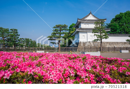 京都 二条城の東南隅櫓とサツキの花 京都 二条城の東南隅櫓とサツキの花 70521318
