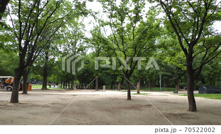 ソウルの森 公園 ヒマワリ 70522002