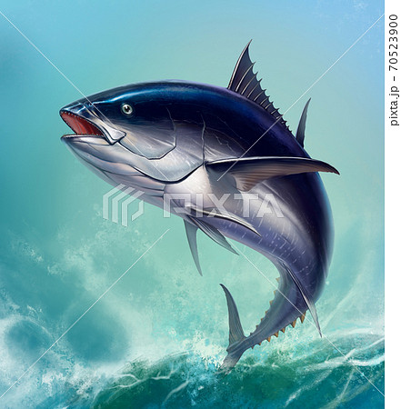Tuna fish in fast motion Realistic. Black fin tuna blue on the background of large waves. 70523900
