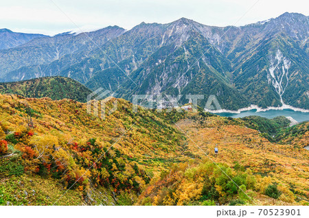 立山黒部アルペンルート 大観峰の紅葉 ロープウェイ 立山黒部アルペンルート 大観峰の紅葉 ロープウェイ 70523901