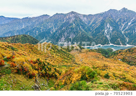 立山黒部アルペンルート　大観峰の紅葉　ロープウェイ 70523903