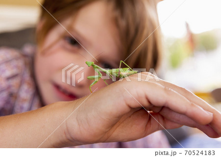 7 year old boy holding a praying mantis 70524183