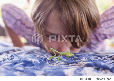 7 year old boy looking at a praying mantis 70524192