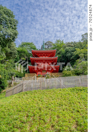 岐阜公園三重塔 70524874