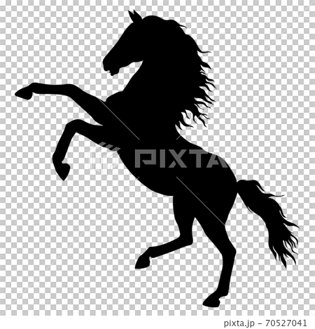 Horse Silhouette Material Illustration Stock Illustration