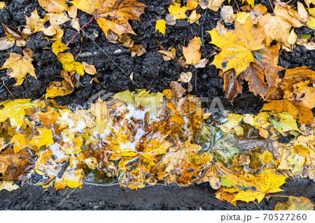 top view of puddle in deep rut on country road top view of puddle in deep rut on country road 70527260