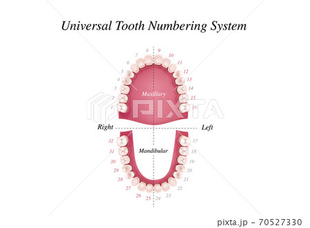 Oral Care health Concept. Medical banner or poster 70527330