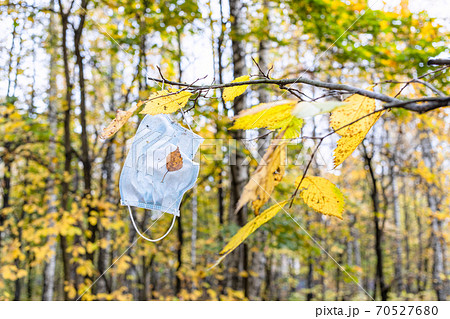 dirty medical face mask hanging on tree branch 70527680
