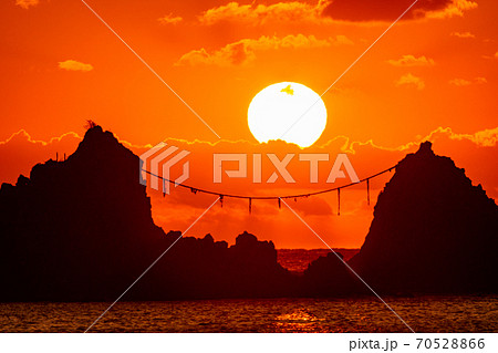 （神奈川県）真鶴半島三ツ石海岸　日の出 70528866