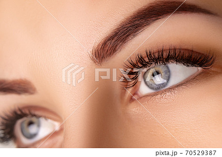 Eyelash Extension Procedure. Woman Eye with Long Eyelashes. Close up, selective focus. Eyelash Extension Procedure. Woman Eye with Long Eyelashes. Close up, selective focus. 70529387