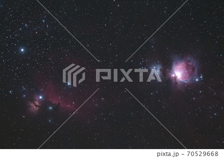 オリオン座 70529668