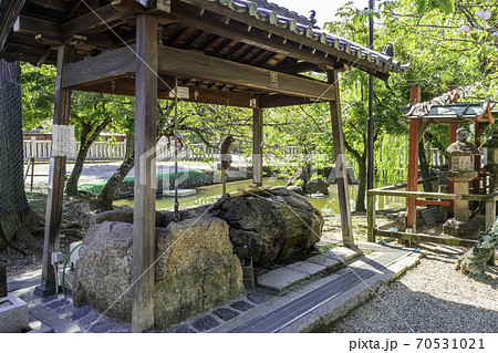 氷室神社 手水舎と鏡池 奈良県奈良市 氷室神社 手水舎と鏡池 奈良県奈良市 70531021