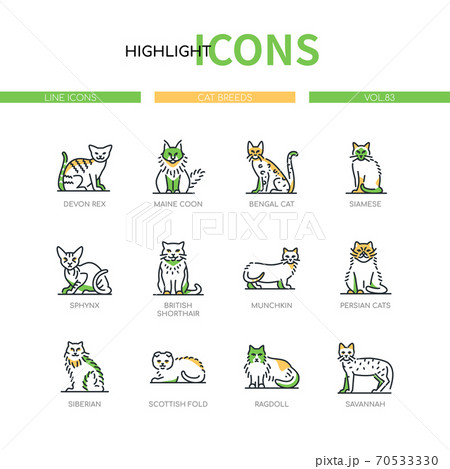 Cat breeds - modern line design style icons set 70533330