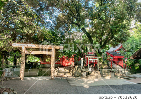 赤坂王子稲荷神社 赤坂王子稲荷神社 70533620