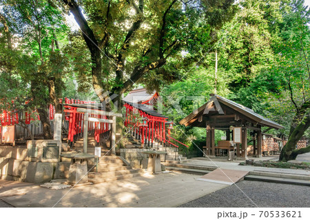 赤坂王子稲荷神社 70533621