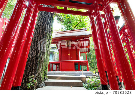 赤坂王子稲荷神社 赤坂王子稲荷神社 70533628