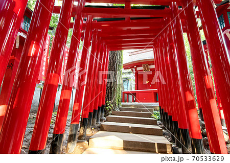 東京都港区赤坂の赤坂王子稲荷神社 70533629