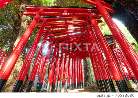 赤坂王子稲荷神社 赤坂王子稲荷神社 70533630