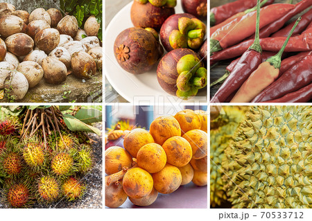 Thailand fruit collage rambutan, jackfruit, chili and longkong Thailand fruit collage rambutan, jackfruit, chili and longkong 70533712