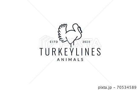 bird turkeys  line modern logo vector illustration design 70534589
