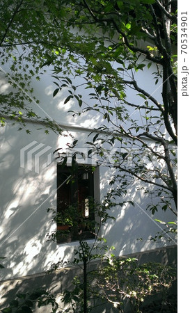 秋の優しい木漏れ日が蔵の外壁にこぼれる風景。 秋の優しい木漏れ日が蔵の外壁にこぼれる風景。 70534901