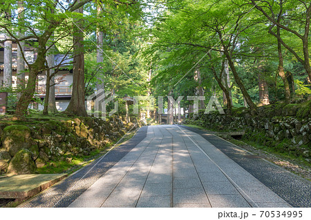 Summer view of temple path through forest trees, Eiheiji, Fukui Prefecture, Japan. 70534995